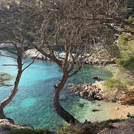 Le Nid Marin Piscine A 500m De La لا سيوتا